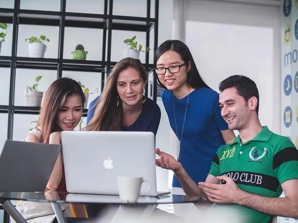 Consultants collaborating
